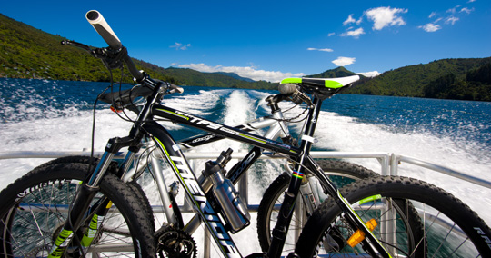 Mountain biking the Queen Charlotte Track